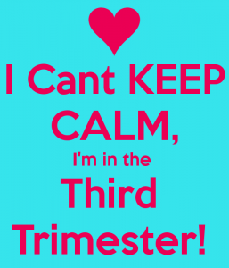 i-cant-keep-calm-im-in-the-third-trimester-