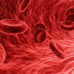 Blogimg-Increase-White-Blood-Cell-Count